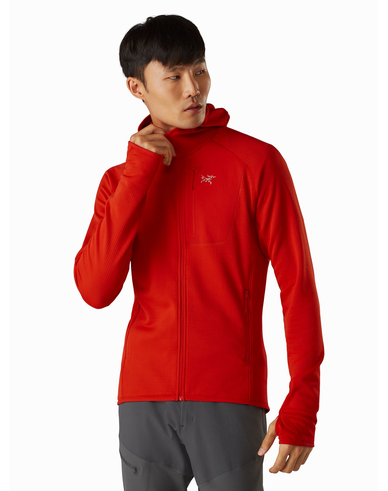 Sale > arcteryx delta mx > in stock